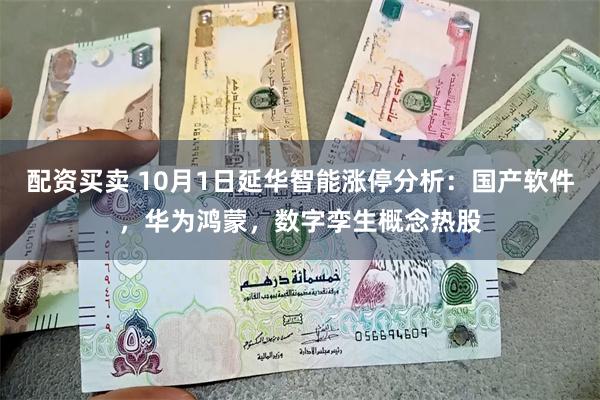 配资买卖 10月1日延华智能涨停分析：国产软件，华为鸿蒙，数字孪生概念热股