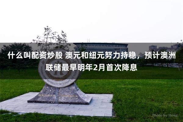 什么叫配资炒股 澳元和纽元努力持稳，预计澳洲联储最早明年2月首次降息