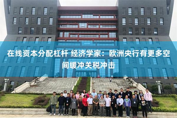 在线资本分配杠杆 经济学家：欧洲央行有更多空间缓冲关税冲击