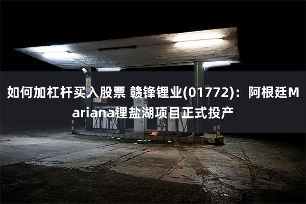 如何加杠杆买入股票 赣锋锂业(01772)：阿根廷Mariana锂盐湖项目正式投产