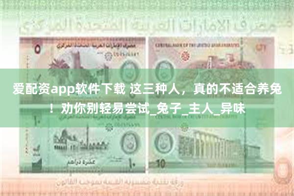 爱配资app软件下载 这三种人，真的不适合养兔！劝你别轻易尝试_兔子_主人_异味