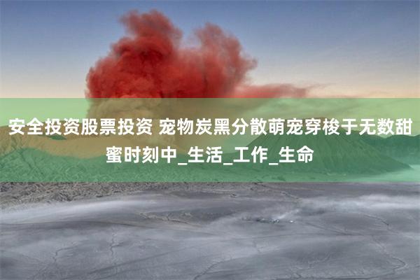安全投资股票投资 宠物炭黑分散萌宠穿梭于无数甜蜜时刻中_生活_工作_生命
