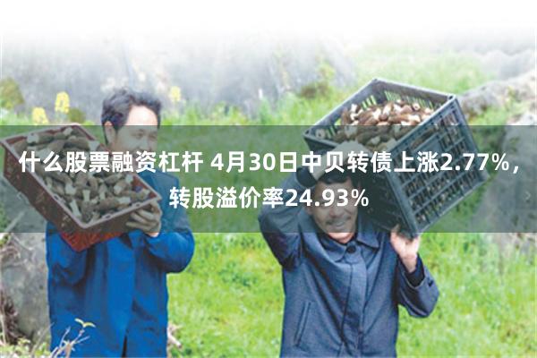 什么股票融资杠杆 4月30日中贝转债上涨2.77%，转股溢价率24.93%