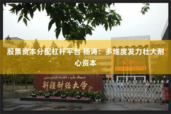 股票资本分配杠杆平台 杨涛：多维度发力壮大耐心资本