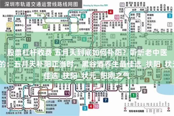 股票杠杆收费 五月天到底如何补阳？听听老中医是咋说咋讲的：五月天补阳正当时，黑谷酒养生最佳选_扶阳_状元_阳刚之气