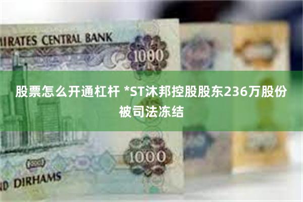 股票怎么开通杠杆 *ST沐邦控股股东236万股份被司法冻结