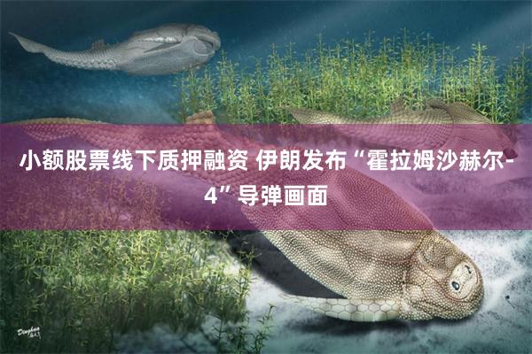 小额股票线下质押融资 伊朗发布“霍拉姆沙赫尔-4”导弹画面