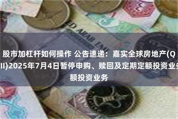 股市加杠杆如何操作 公告速递：嘉实全球房地产(QDII)2025年7月4日暂停申购、赎回及定期定额投资业务