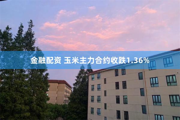 金融配资 玉米主力合约收跌1.36%